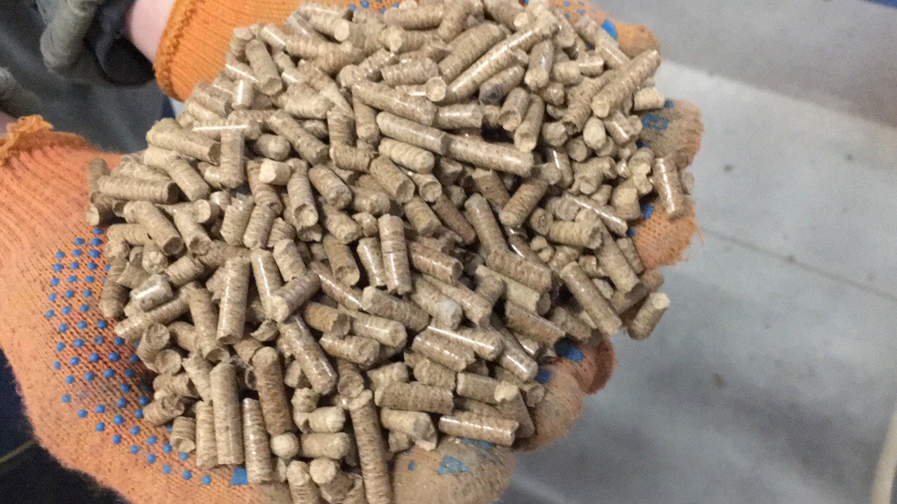 Oak Wood Pellets for sale