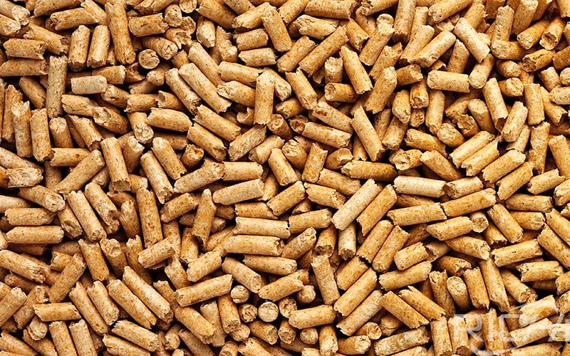 ENplus A1 wood pellets