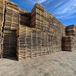 Disposable Pallets