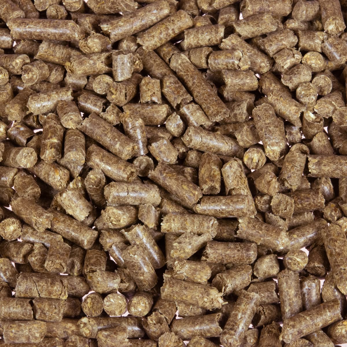 Buy ENplus A1 wood pellets from Germany